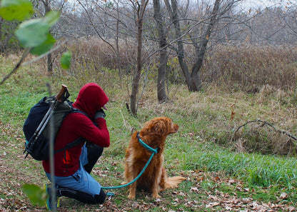 Rip-Back Hoodie™ 90 | Bright Moss | Ready-to-Ship